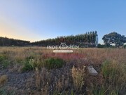 Terreno R�stico T0 - �gueda, �gueda, Aveiro - Miniatura: 9/9