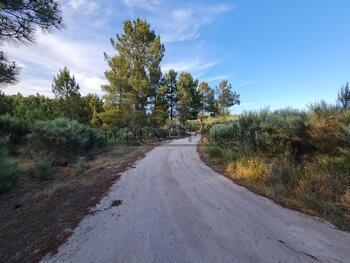 Terreno R�stico T0 - Castelo, Moimenta da Beira, Viseu - Imagem grande