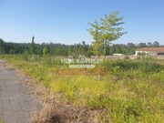 Terreno Rstico - Valongo do Vouga, gueda, Aveiro - Miniatura: 8/9
