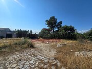 Armazm - Pinhel, Pinhel, Guarda - Miniatura: 4/9