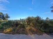 Terreno R�stico T0 - Castelo, Moimenta da Beira, Viseu - Miniatura: 1/9