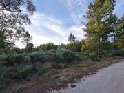 Terreno R�stico T0 - Castelo, Moimenta da Beira, Viseu - Miniatura: 2/9