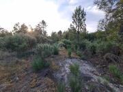 Terreno R�stico T0 - Castelo, Moimenta da Beira, Viseu - Miniatura: 3/9