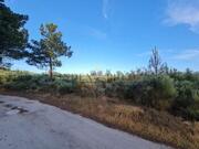 Terreno R�stico T0 - Castelo, Moimenta da Beira, Viseu - Miniatura: 4/9