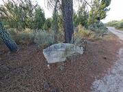 Terreno R�stico T0 - Castelo, Moimenta da Beira, Viseu - Miniatura: 5/9