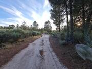 Terreno R�stico T0 - Castelo, Moimenta da Beira, Viseu - Miniatura: 8/9