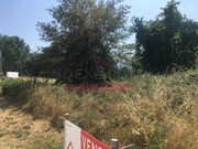 Terreno R�stico T0 - S�o Pedro do Sul, S�o Pedro do Sul, Viseu - Miniatura: 5/8