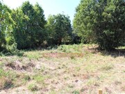 Terreno R�stico T0 - S�o Pedro do Sul, S�o Pedro do Sul, Viseu - Miniatura: 6/8