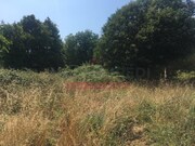 Terreno R�stico T0 - S�o Pedro do Sul, S�o Pedro do Sul, Viseu - Miniatura: 7/8