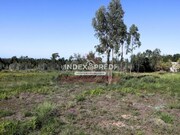 Terreno R�stico T0 - Santa Maria de Lamas, Santa Maria da Feira, Aveiro - Miniatura: 1/4