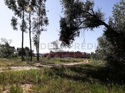 Terreno R�stico T0 - Santa Maria de Lamas, Santa Maria da Feira, Aveiro - Miniatura: 2/4