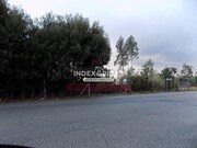 Terreno R�stico T0 - Santa Maria de Lamas, Santa Maria da Feira, Aveiro - Miniatura: 3/4