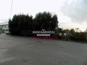 Terreno R�stico T0 - Santa Maria de Lamas, Santa Maria da Feira, Aveiro - Miniatura: 4/4