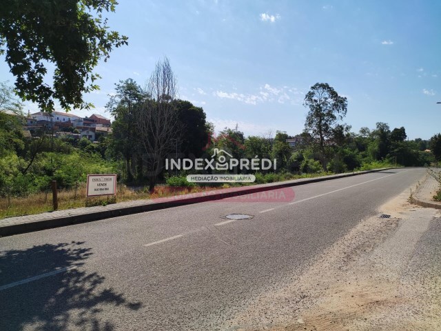 Terreno Rústico - Águeda, Águeda, Aveiro - Imagem grande