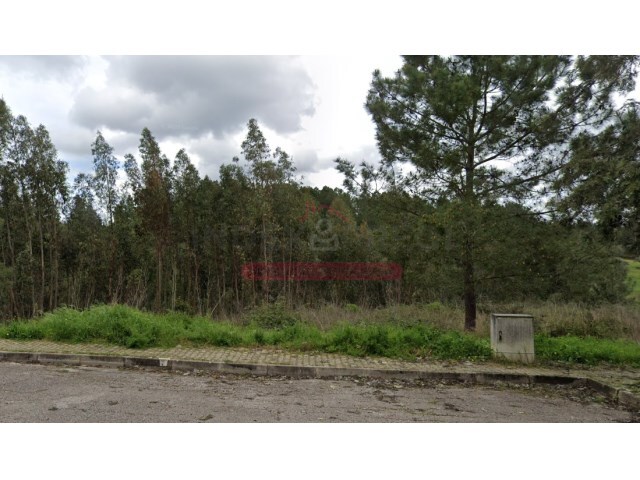 Terreno Urbano - Abrantes, Abrantes, Santarém - Imagem grande