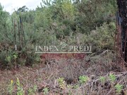 Terreno Rstico - So Roque, Oliveira de Azemis, Aveiro - Miniatura: 3/9