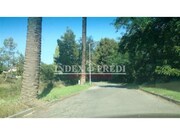 Terreno Rstico - gueda, gueda, Aveiro - Miniatura: 4/9