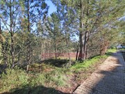 Terreno Urbano - Abrantes, Abrantes, Santarm - Miniatura: 9/9