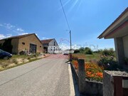 Terreno R�stico T0 - Amoreira da G�ndara, Anadia, Aveiro - Miniatura: 3/6