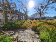 Quinta - Maiorca, Figueira da Foz, Coimbra - Miniatura: 7/9