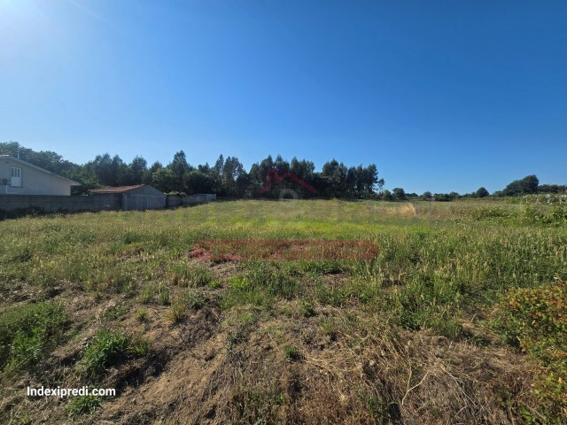 Terreno R�stico T0 - Oi�, Oliveira do Bairro, Aveiro - Imagem grande