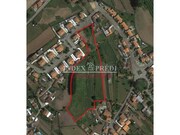 Terreno Rstico - Alquerubim, Albergaria-a-Velha, Aveiro - Miniatura: 1/9