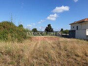 Terreno Rstico - Alquerubim, Albergaria-a-Velha, Aveiro - Miniatura: 2/9