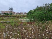 Terreno R�stico T0 - �gueda, �gueda, Aveiro - Miniatura: 2/5