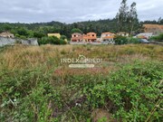 Terreno R�stico T0 - �gueda, �gueda, Aveiro - Miniatura: 5/5