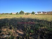 Terreno R�stico T0 - Oi�, Oliveira do Bairro, Aveiro - Miniatura: 1/6