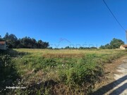 Terreno R�stico T0 - Oi�, Oliveira do Bairro, Aveiro - Miniatura: 4/6