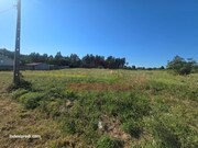 Terreno R�stico T0 - Oi�, Oliveira do Bairro, Aveiro - Miniatura: 5/6
