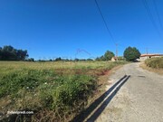 Terreno R�stico T0 - Oi�, Oliveira do Bairro, Aveiro - Miniatura: 6/6
