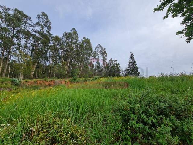 Terreno Urbano - Macinhata do Vouga, Águeda, Aveiro - Imagem grande