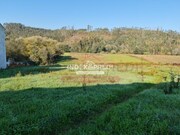 Terreno R�stico T0 - Macinhata do Vouga, �gueda, Aveiro