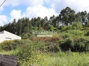 Terreno R�stico T0 - �gueda, �gueda, Aveiro - Miniatura: 3/9