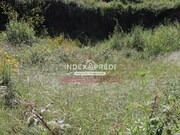 Terreno R�stico T0 - �gueda, �gueda, Aveiro - Miniatura: 5/9