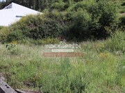 Terreno R�stico T0 - �gueda, �gueda, Aveiro - Miniatura: 7/9