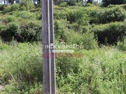 Terreno R�stico T0 - �gueda, �gueda, Aveiro - Miniatura: 9/9