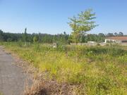 Terreno Urbano T0 - Valongo do Vouga, �gueda, Aveiro - Miniatura: 1/5