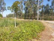 Terreno Urbano T0 - Valongo do Vouga, �gueda, Aveiro - Miniatura: 2/5