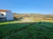 Terreno R�stico T0 - Macinhata do Vouga, �gueda, Aveiro - Miniatura: 3/9