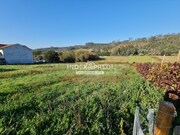 Terreno R�stico T0 - Macinhata do Vouga, �gueda, Aveiro - Miniatura: 4/9