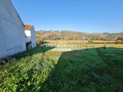 Terreno R�stico T0 - Macinhata do Vouga, �gueda, Aveiro - Miniatura: 5/9