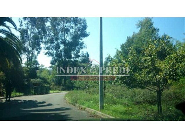 Terreno R�stico T0 - �gueda, �gueda, Aveiro - Imagem grande