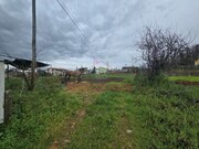 Terreno Rstico - Valongo do Vouga, gueda, Aveiro - Miniatura: 1/6