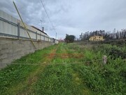 Terreno Rstico - Valongo do Vouga, gueda, Aveiro - Miniatura: 2/6