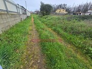 Terreno Rstico - Valongo do Vouga, gueda, Aveiro - Miniatura: 3/6