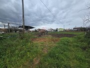 Terreno Rstico - Valongo do Vouga, gueda, Aveiro - Miniatura: 4/6