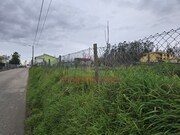 Terreno Rstico - Valongo do Vouga, gueda, Aveiro - Miniatura: 5/6
